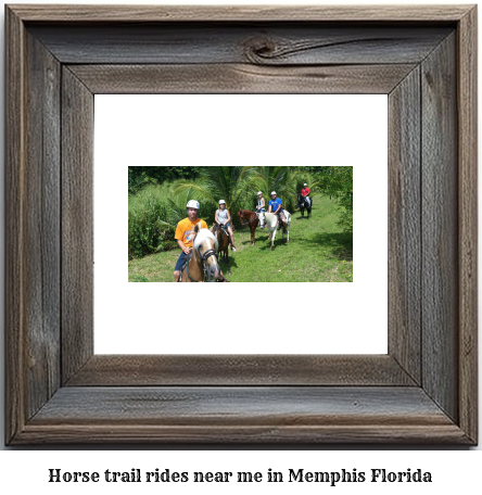 horse trail rides near me in Memphis, Florida